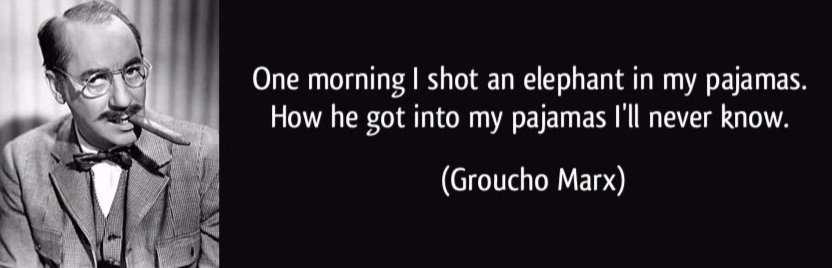 Natural language processing models might struggle with a statement like this: "One morning I shot an elephant in my pajamas. How he got into my pajamas I'll never know."