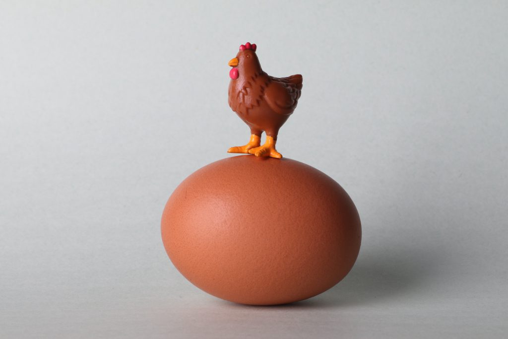 Toy chicken figurine perched on a brown egg — visual metaphor for chicken-and-egg causality in AI training data